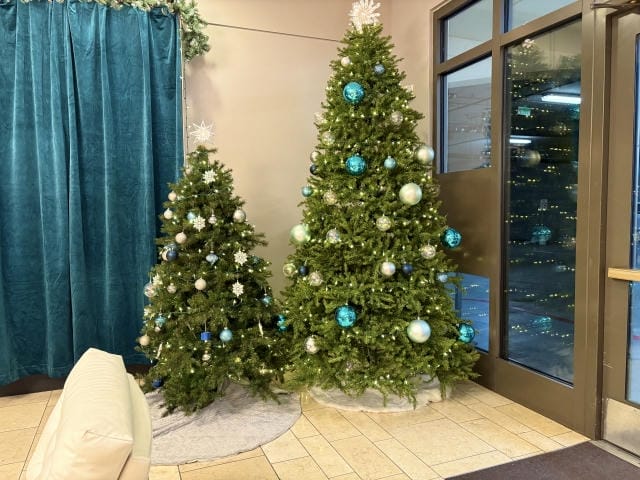 クリスマスツリーの210cmで後悔しないためには？空間設計と選び方