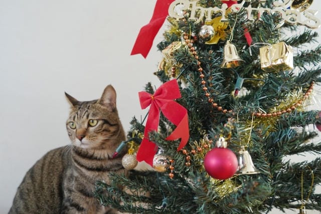 クリスマスツリーが安くなる時期は？店舗別のお得な買い方と選び方