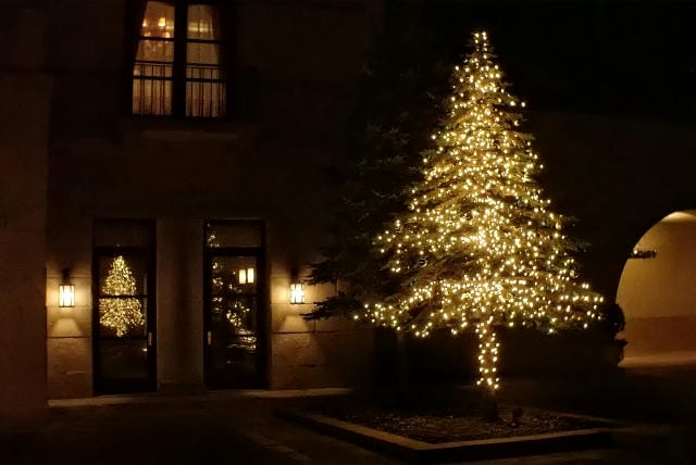 クリスマスツリーにはなぜもみの木が使われる？歴史的･宗教的な理由