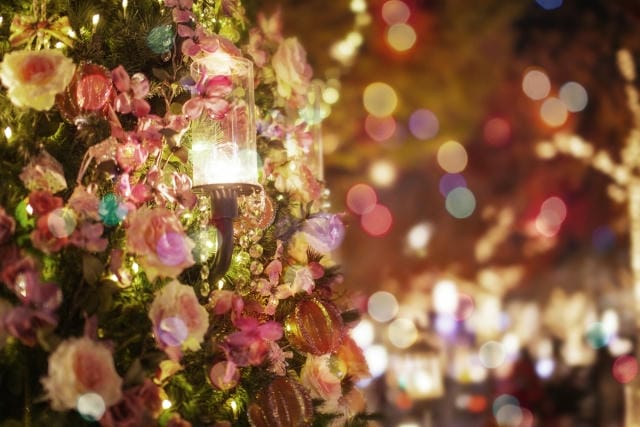 高校生がクリスマスデートに付き合ってない人を誘う場合のプラン